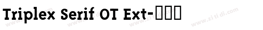 Triplex Serif OT Ext字体转换